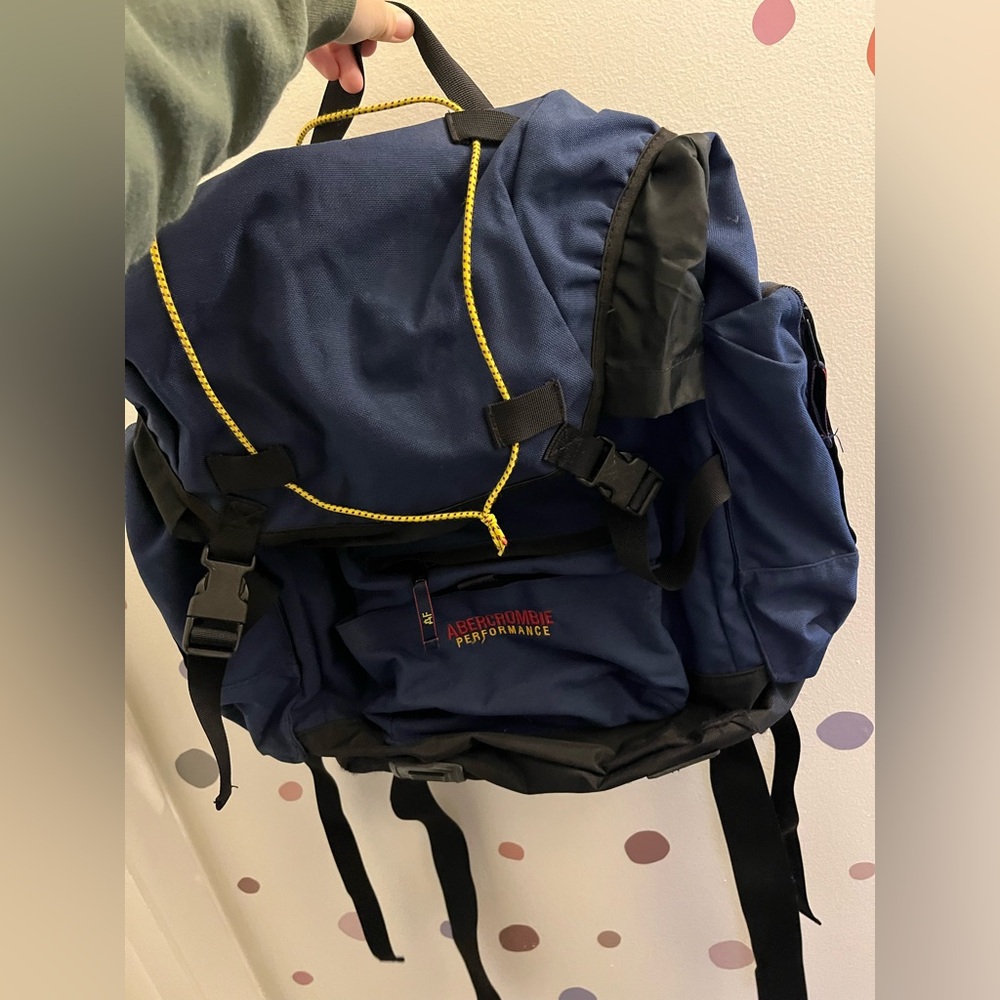 VINTAGE ABERCROMBIE & FITCH INSULATED HIKING BACKPACK BAG Y2K